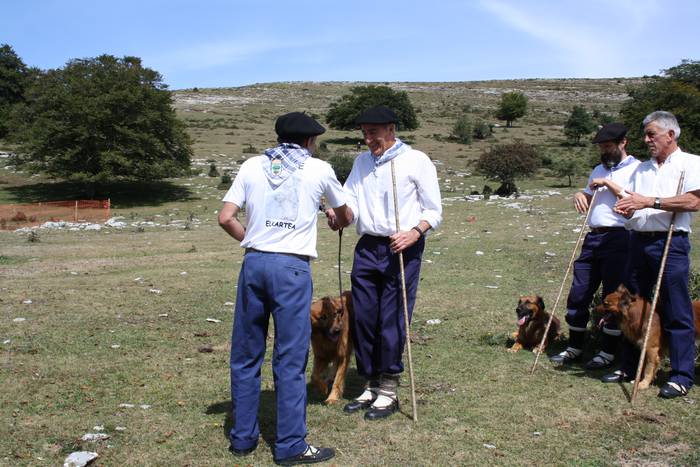 Sanbitoresak ospatzeko ehunk 74 1504510526526