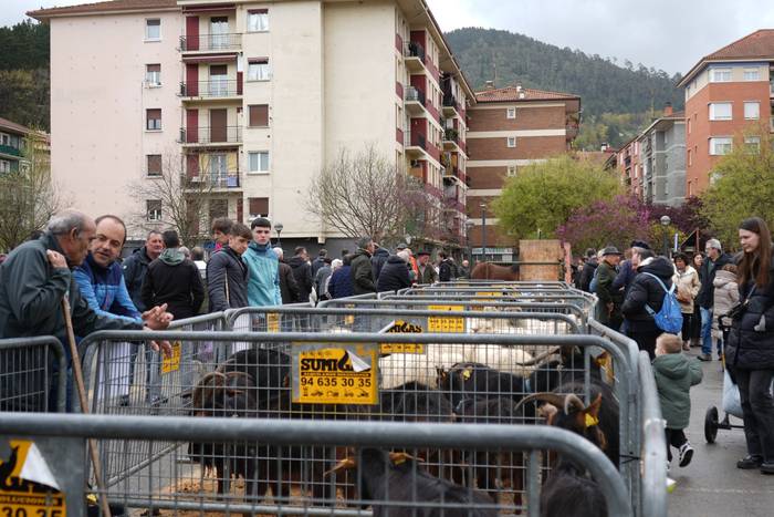 Euriak ez du zapuztu Dolumin 29 1774623146070