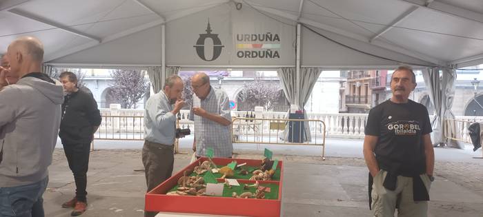 Ziza garaia iritsi da Urduña 22 1760971507738