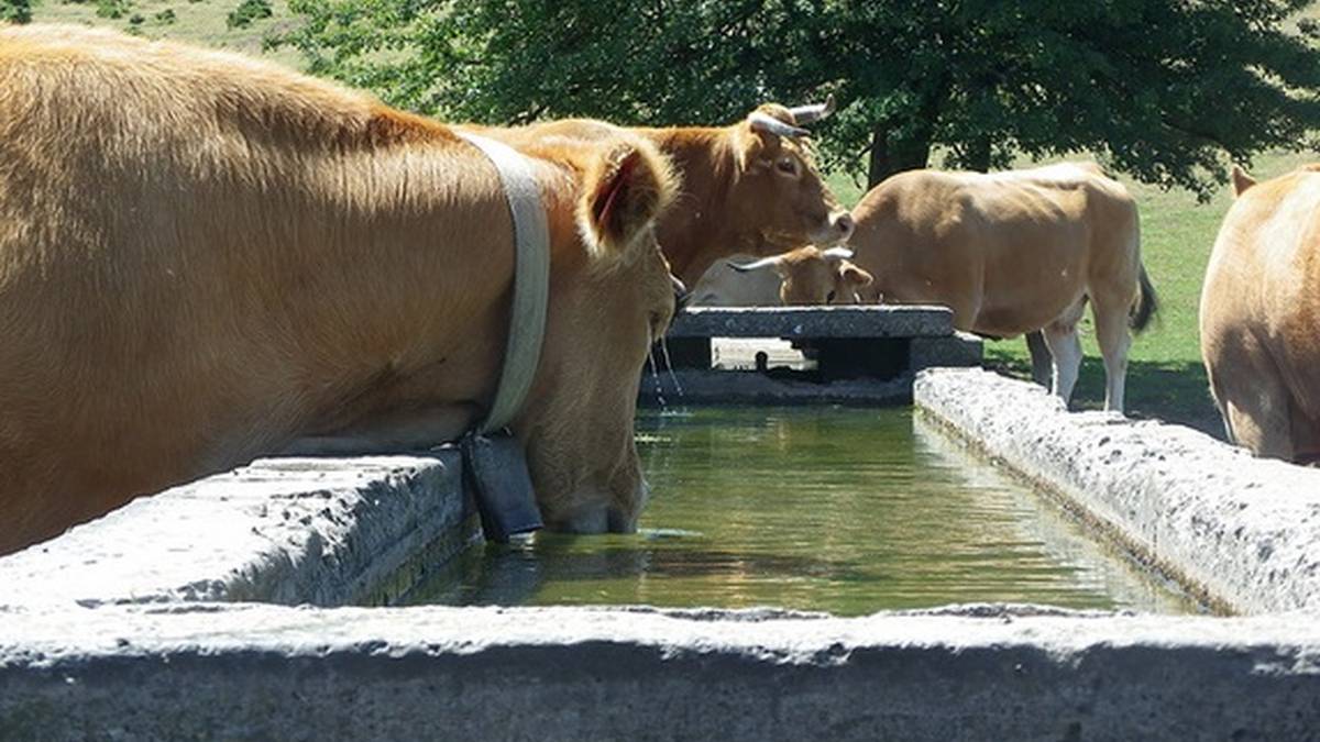 Gorobelen gerta daitezkeen ur gabezien kontrako neurriak adostu dituzte Arabako Foru Aldundiak eta Aiarako Udalak