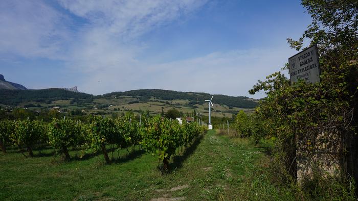 Txakolina Urduñan 25 1759234686222