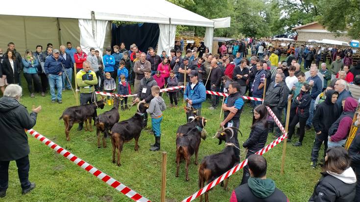 Ahuntz Egunak arrakasta izan du Baranbion